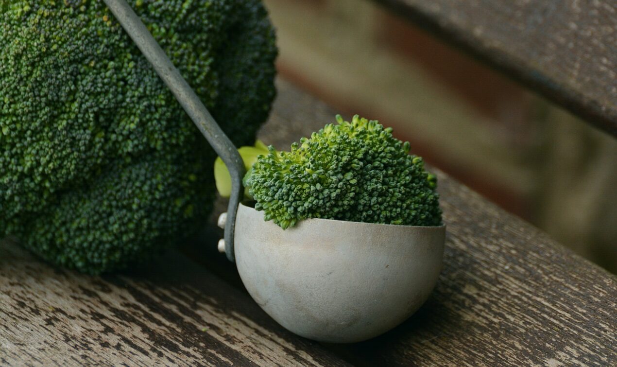 how to start a vegan diet for beginners