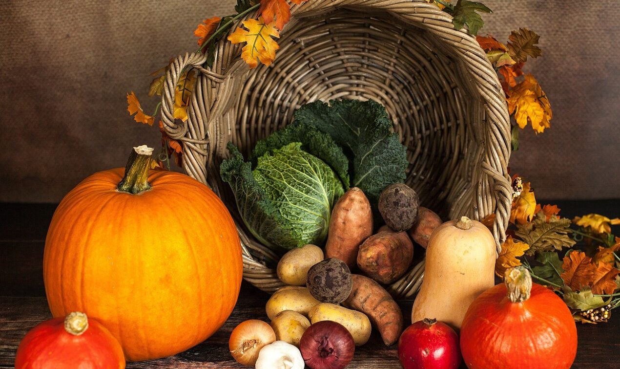 tips for transitioning to a vegan lifestyle