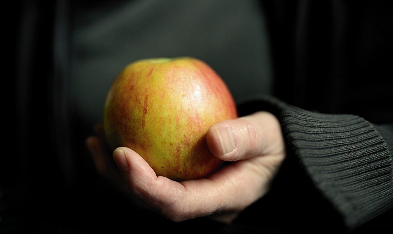 vegetarian lifestyle pros and cons 