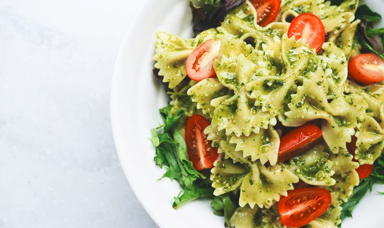 vegetarian lifestyle pros and cons 