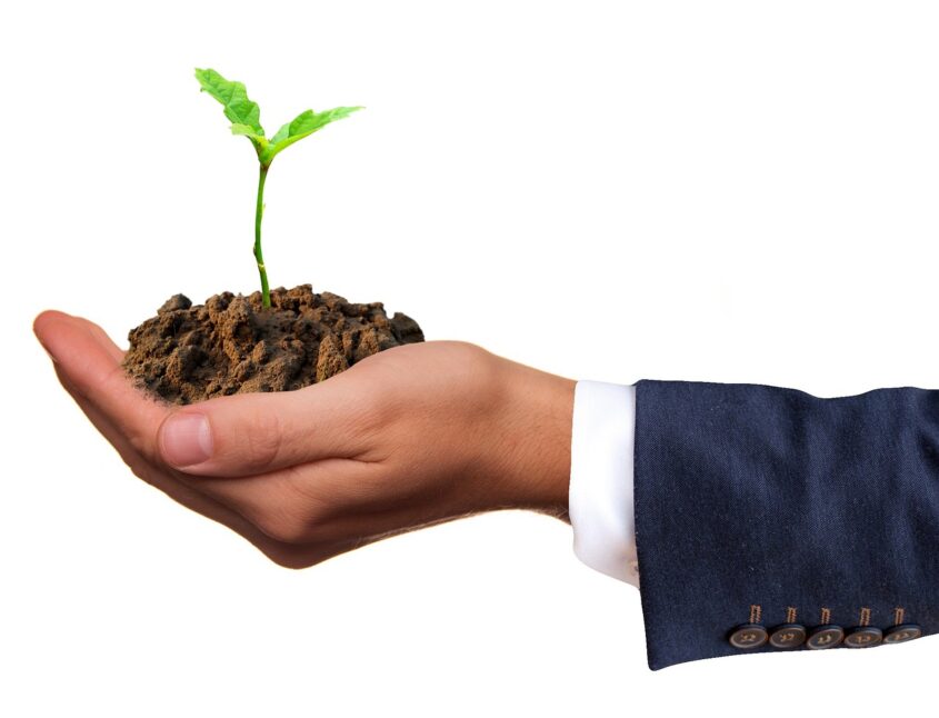 Know all the vegan lifestyle benefits and risks
