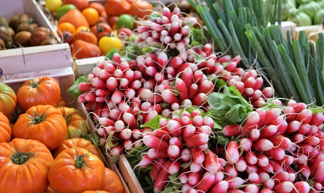 vegan lifestyle benfits and risks 