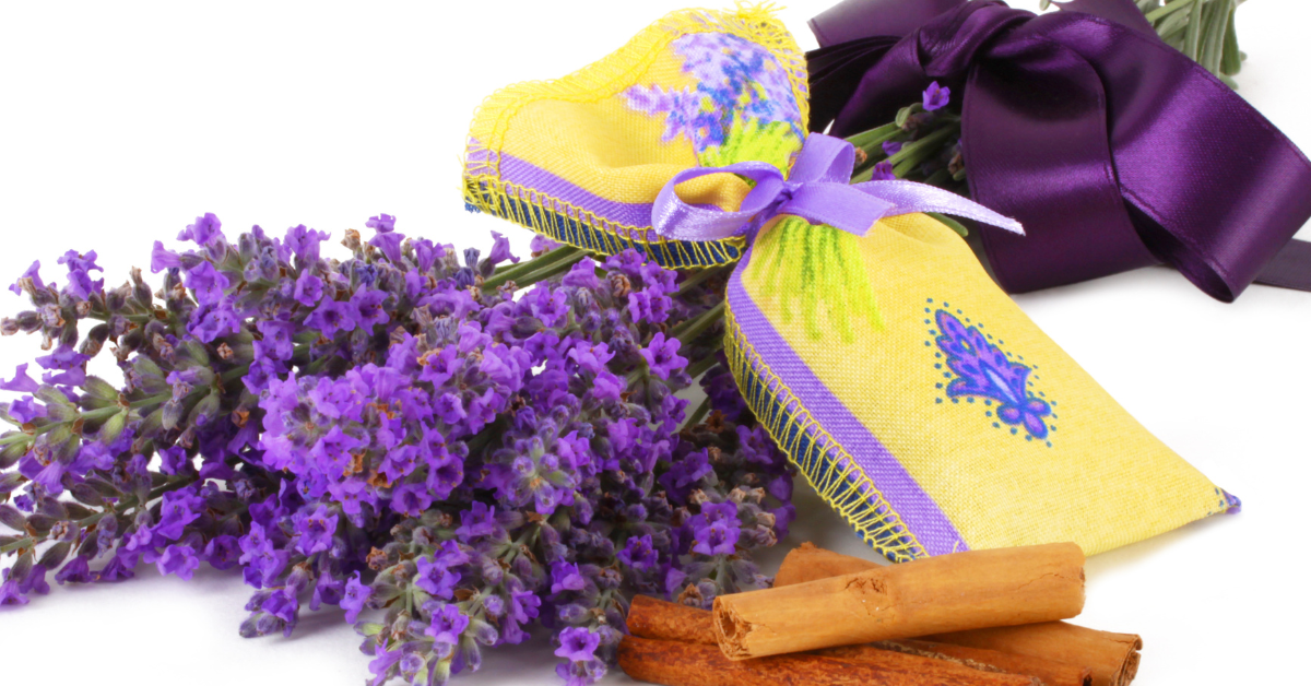 Eco-Friendly Ways to Make Your Whole House Smell Amazing