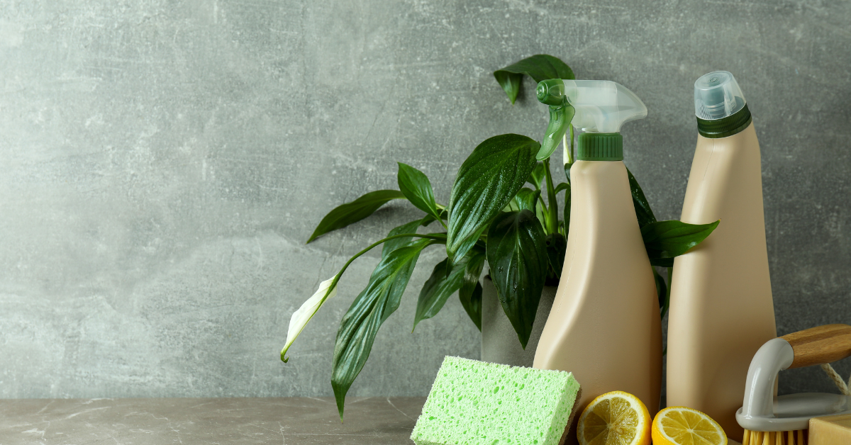 Things That Will Help You To Make Your Home More Eco-Friendly