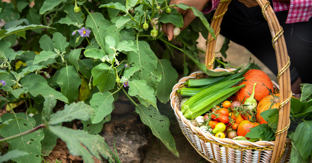 organic farming