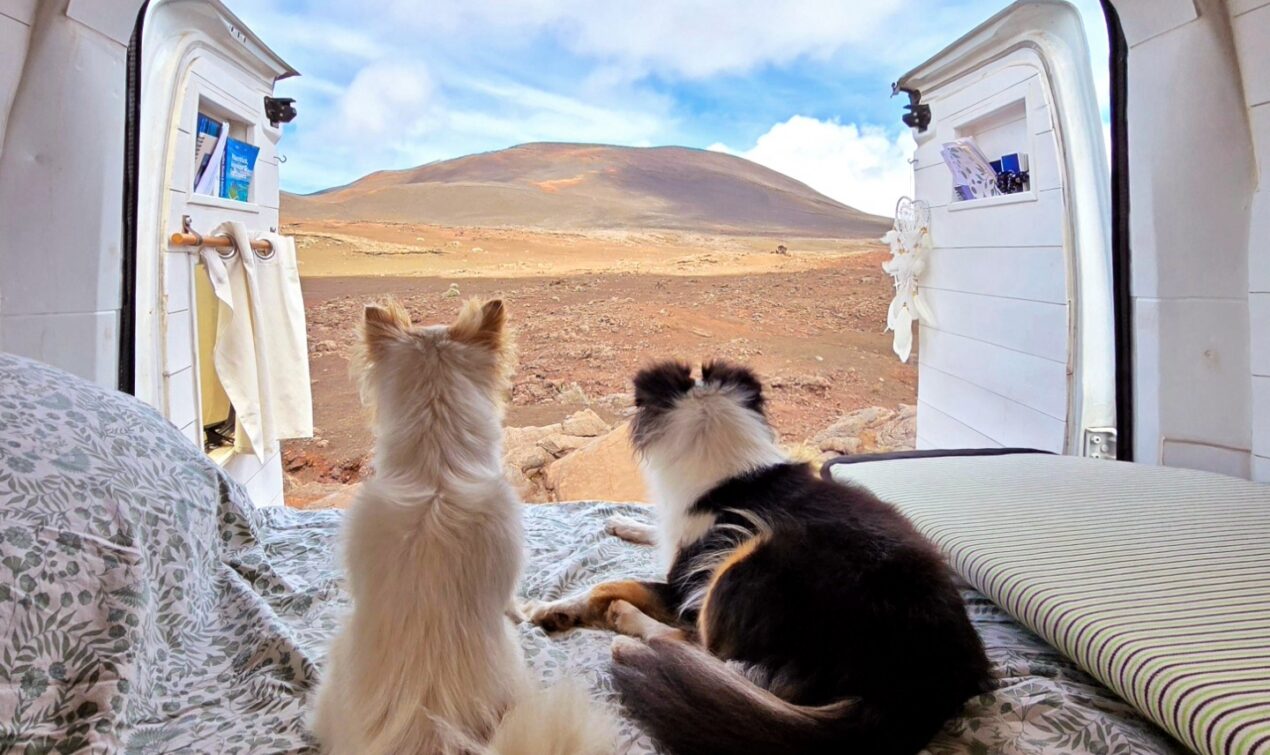 personal growth journey